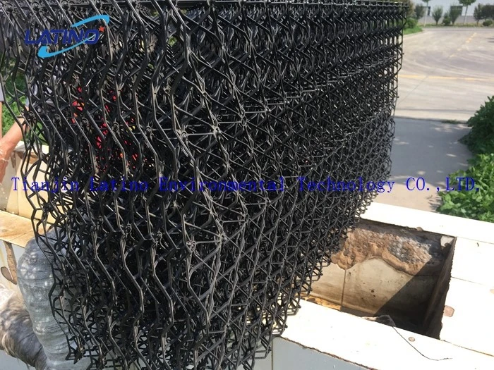 201905141929564 201905141929564